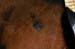 boyt42_0007