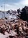 grande-bretagne_032