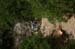 3ponts_0004