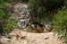 3ponts_0005