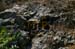 3ponts_0008