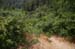 3ponts_0013